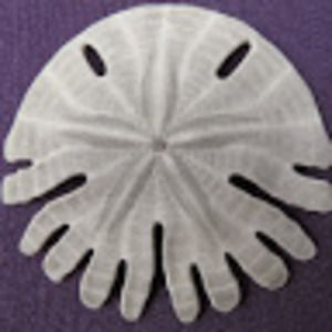 Meet your Posher, Bridget